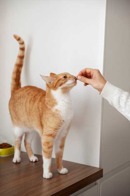 Buspirone dose cats